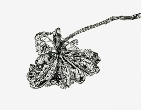 Béatrice Sokoloff at Galerie Luz