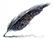 plume